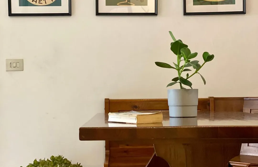 Mm Ma Maison-1